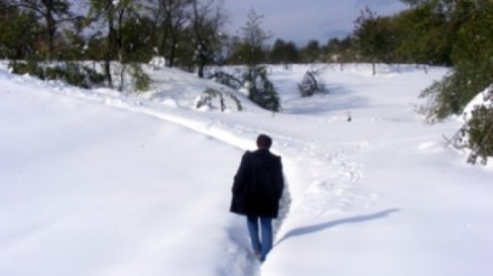 Zăpada de 3 metri a izolat un sat din Tulcea - Video